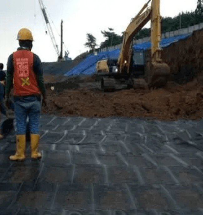Geogrid Project